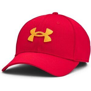 Men's Stretch Fit Baseball Hat Breathable Athletic Cap Sweat Wicking Low Profile
